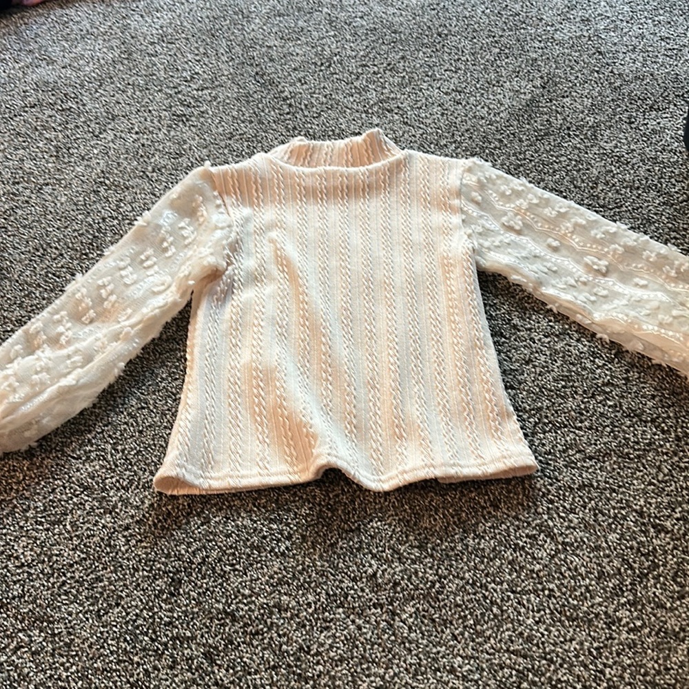 Beige, long sleeve see-through sleeves